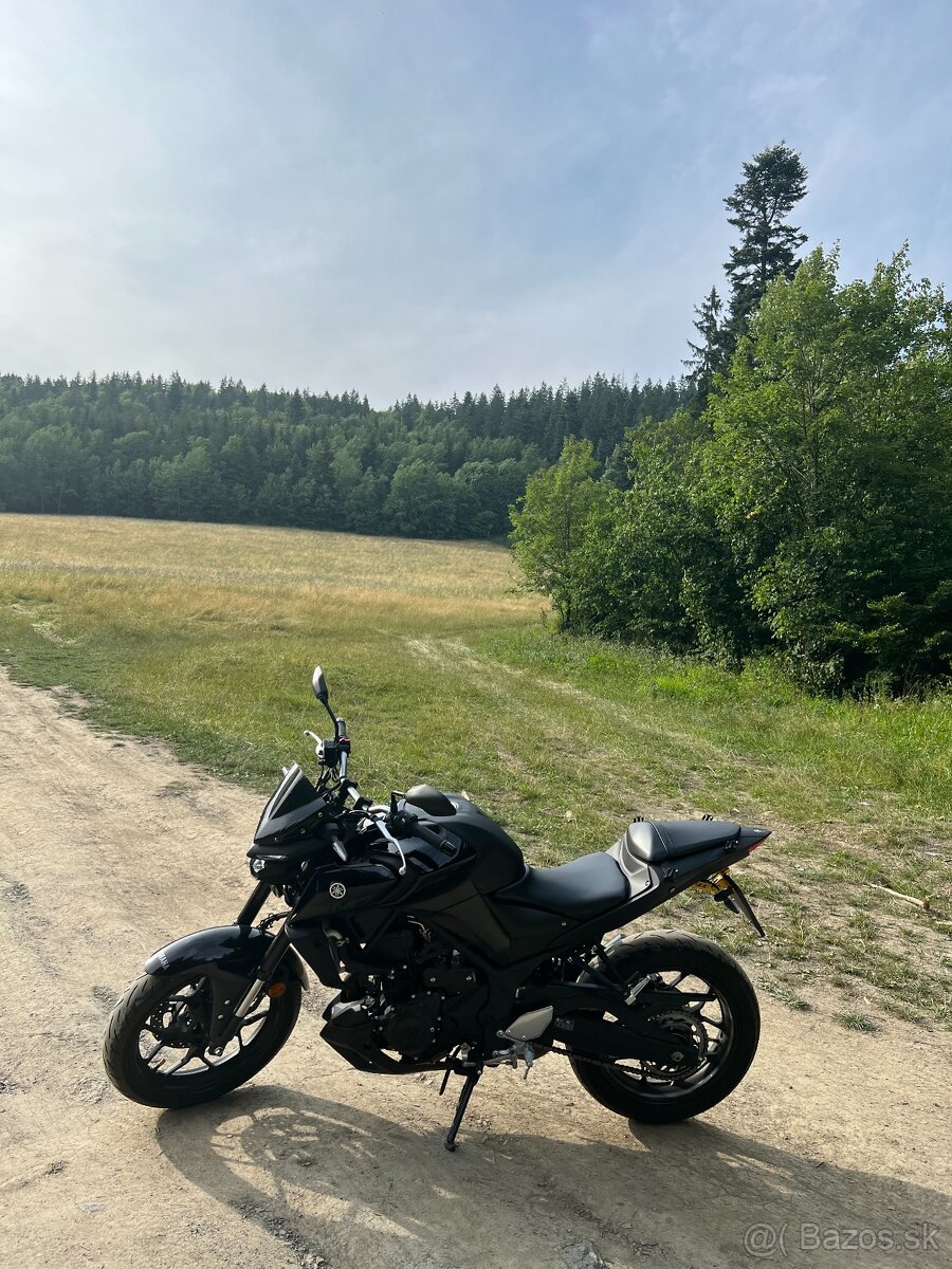 Yamaha MT03 - 2