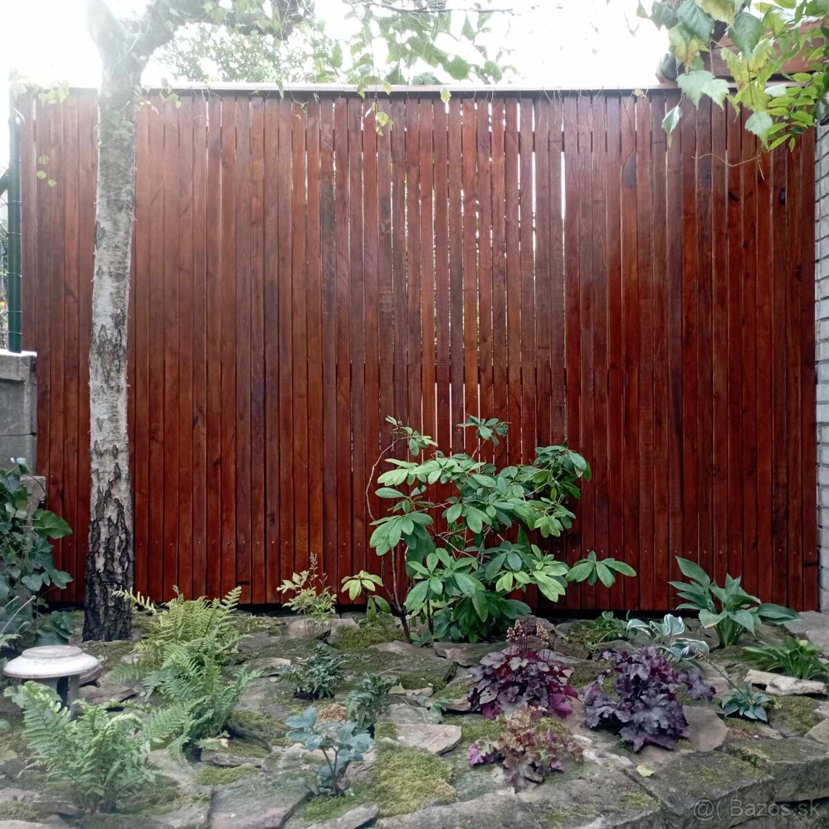 Agát, Agátové ploty - 2