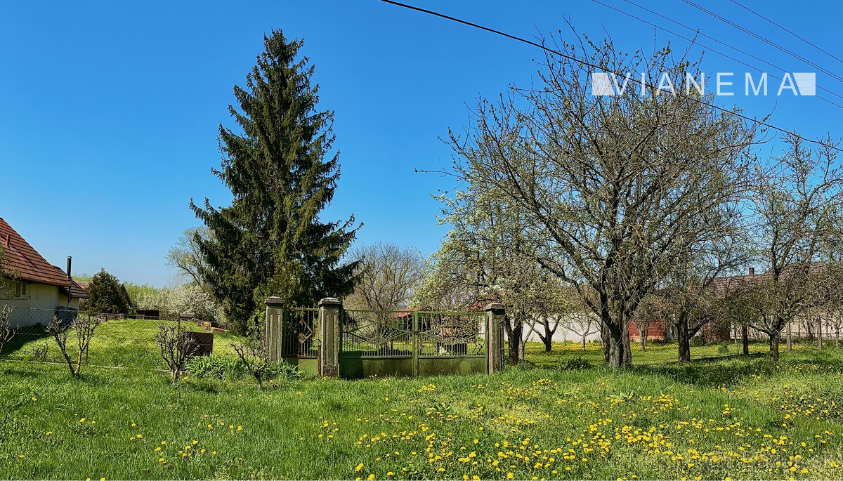 NA PREDAJ Jedinečný pozemok s vlastným jazerom – Maďarsko - 2