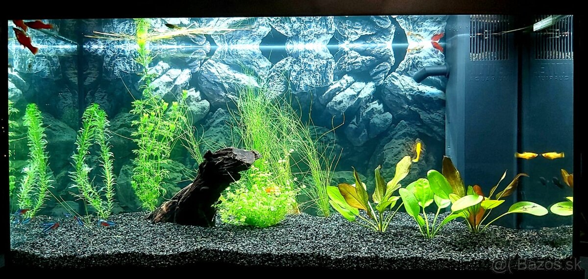 Komplet Juwel akvárium 110l aj s okrasnými kameňmi - 2