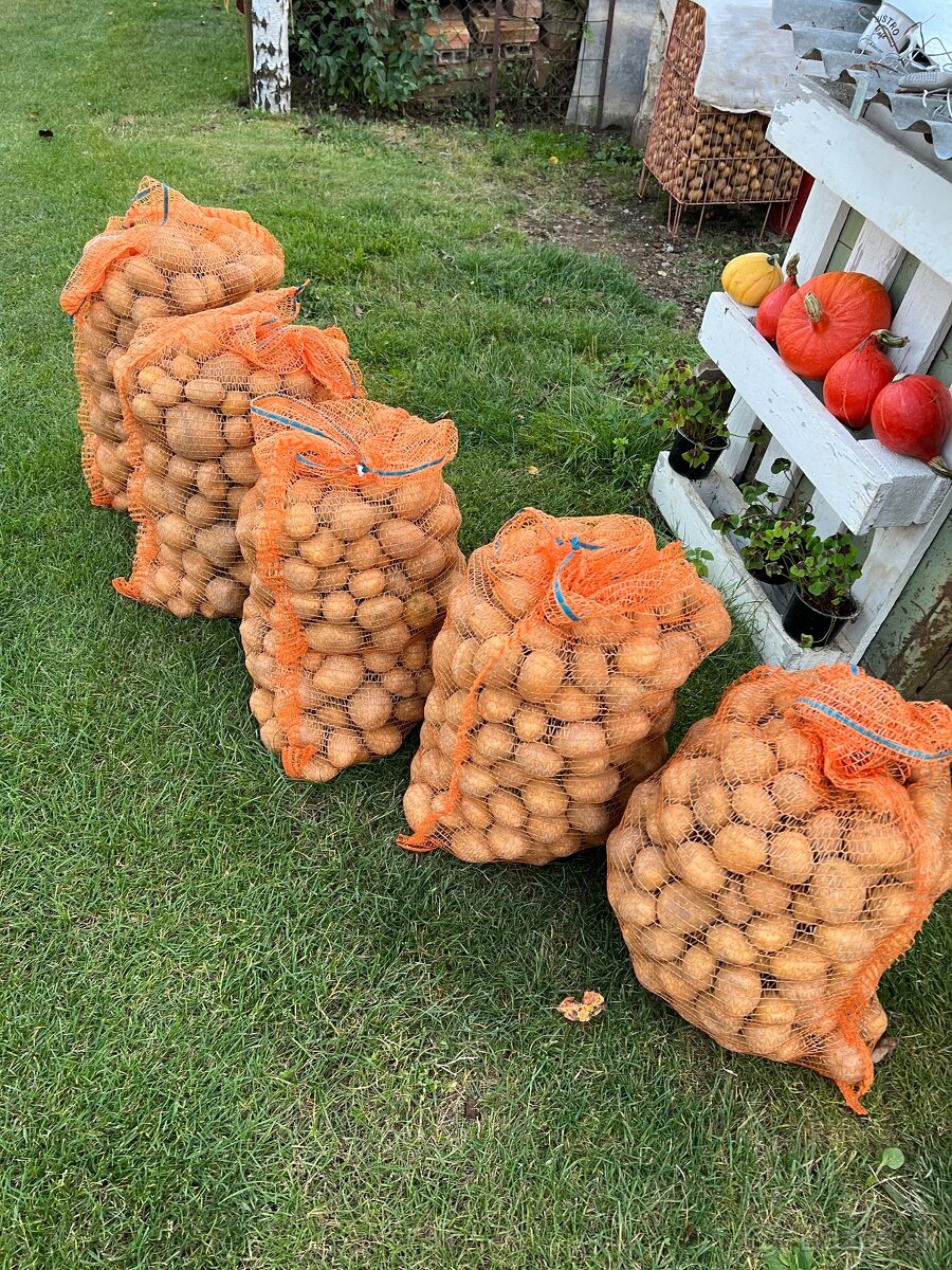 Konzumne zemiaky - 2