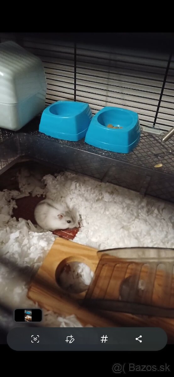 Škrečok+ klietka - 2