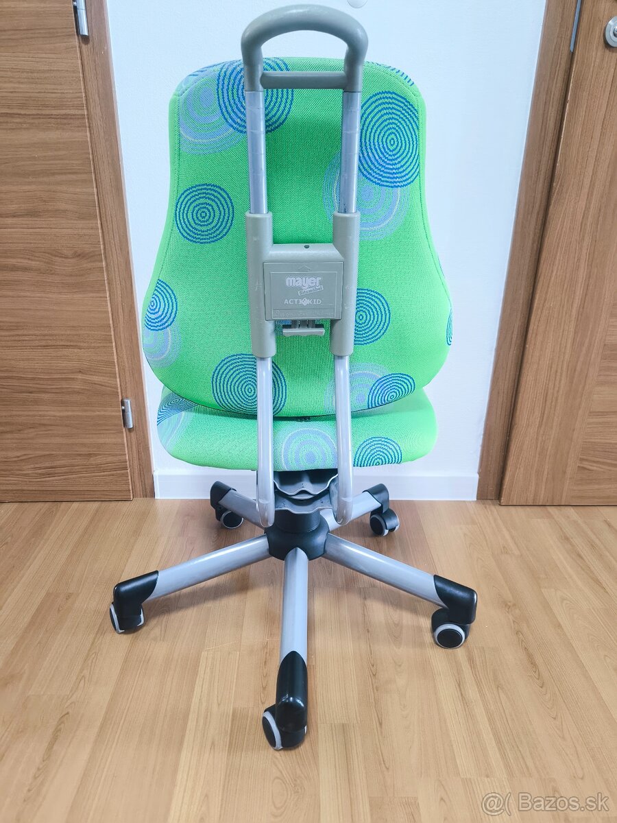 Rastuca stolicka Mayer - 2