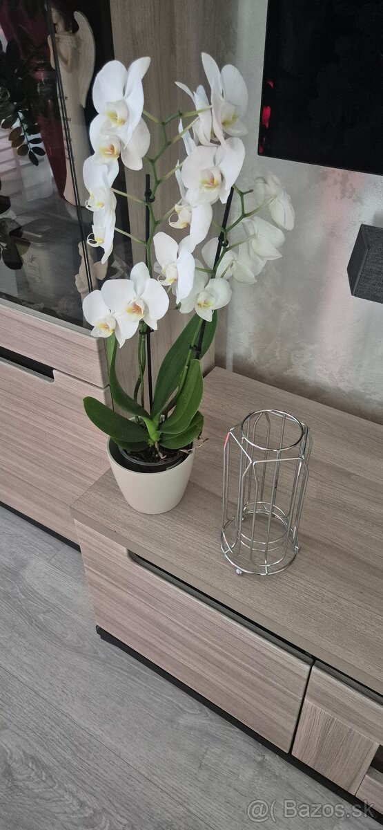 Predám stojan na kapsule dolce gusto - 2