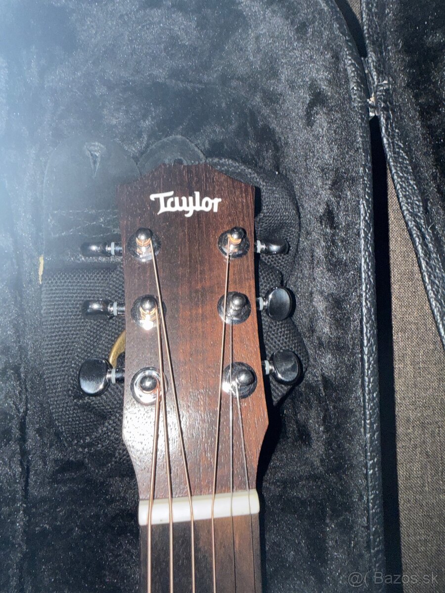 Taylor bt-1e - 2