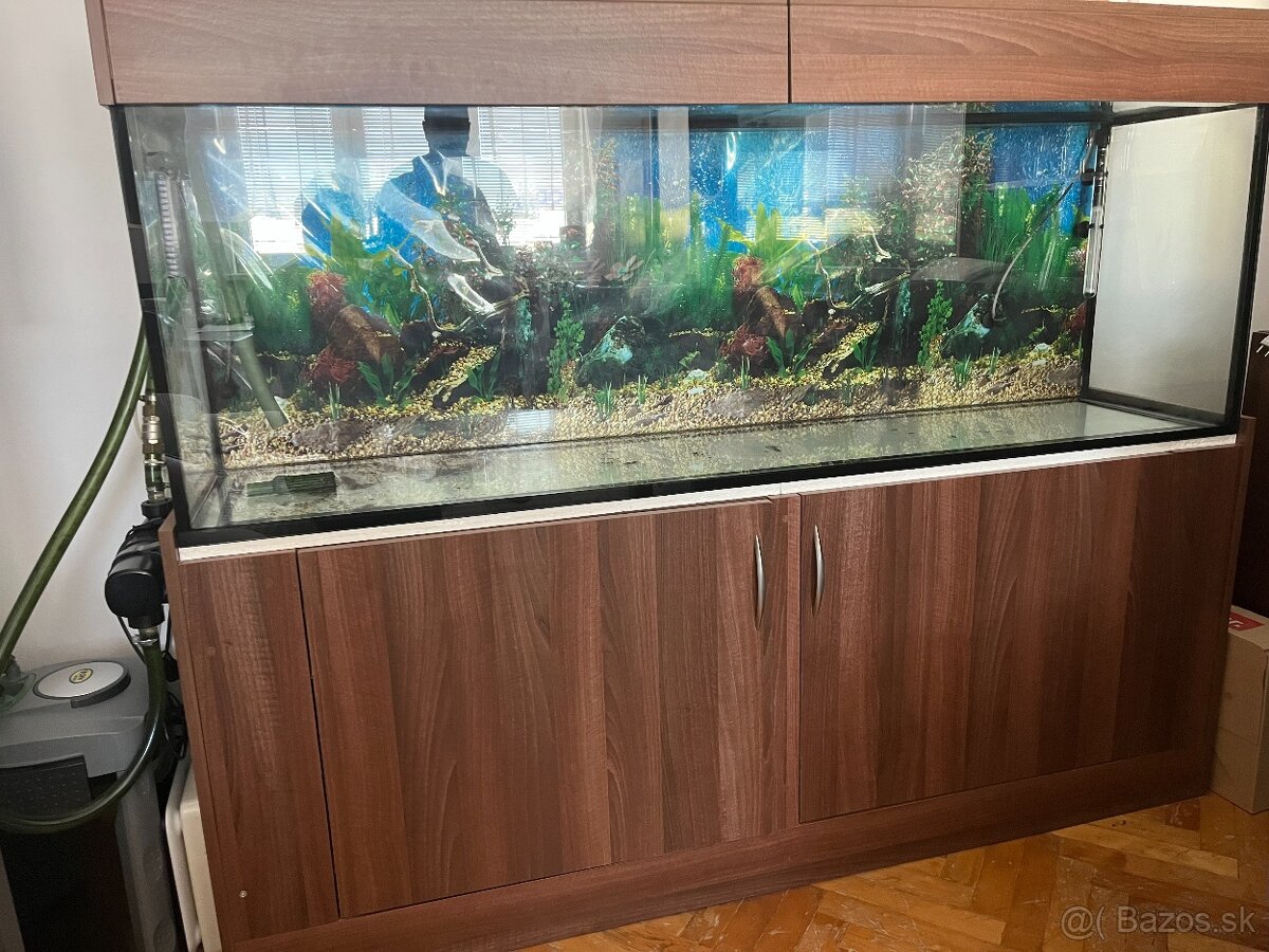 akvarium - 2
