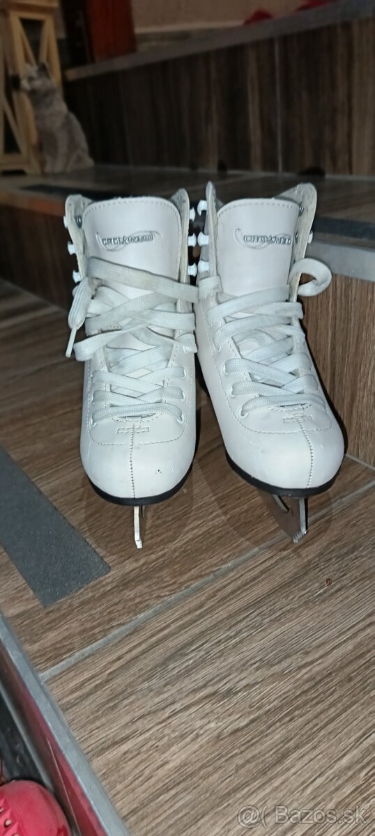 Ľadové korčule - 2