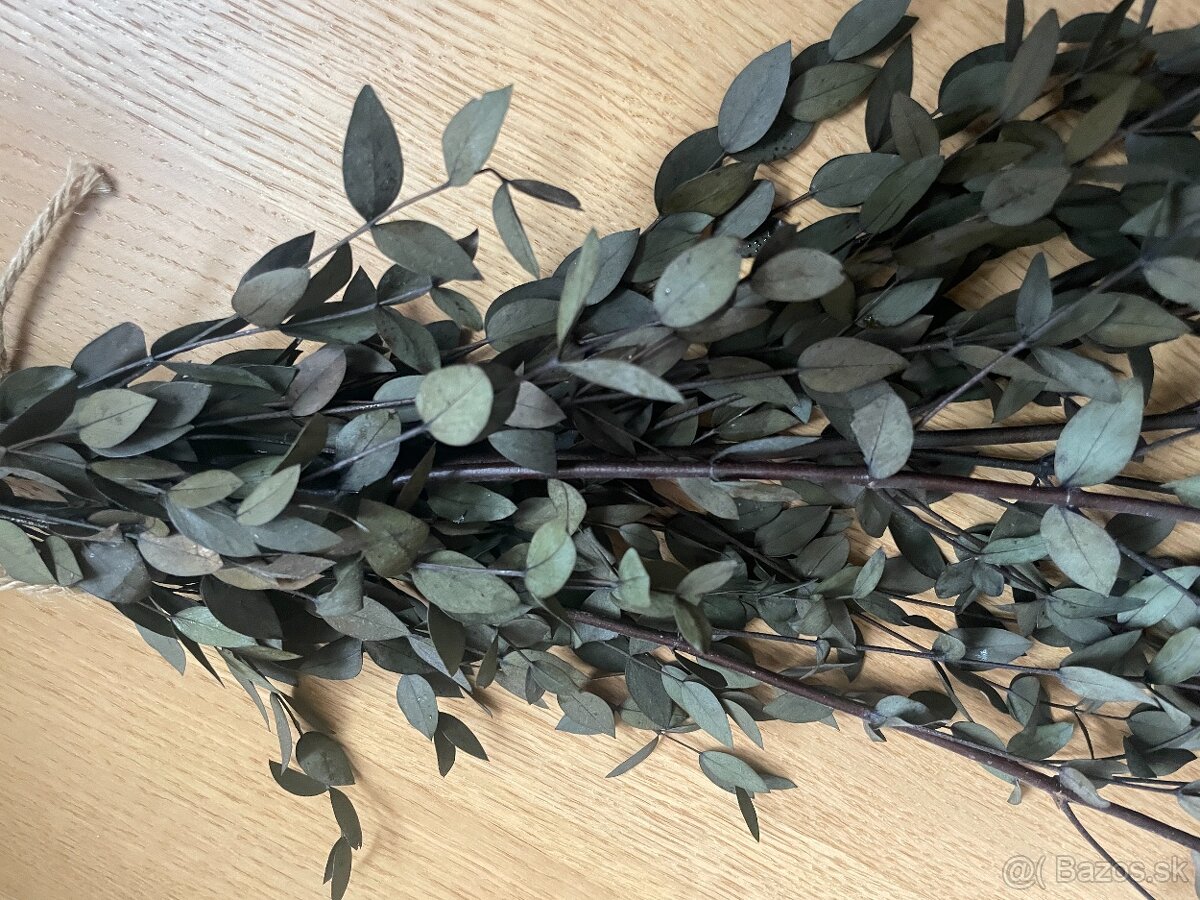 Stabilizovany eukalyptus - 2