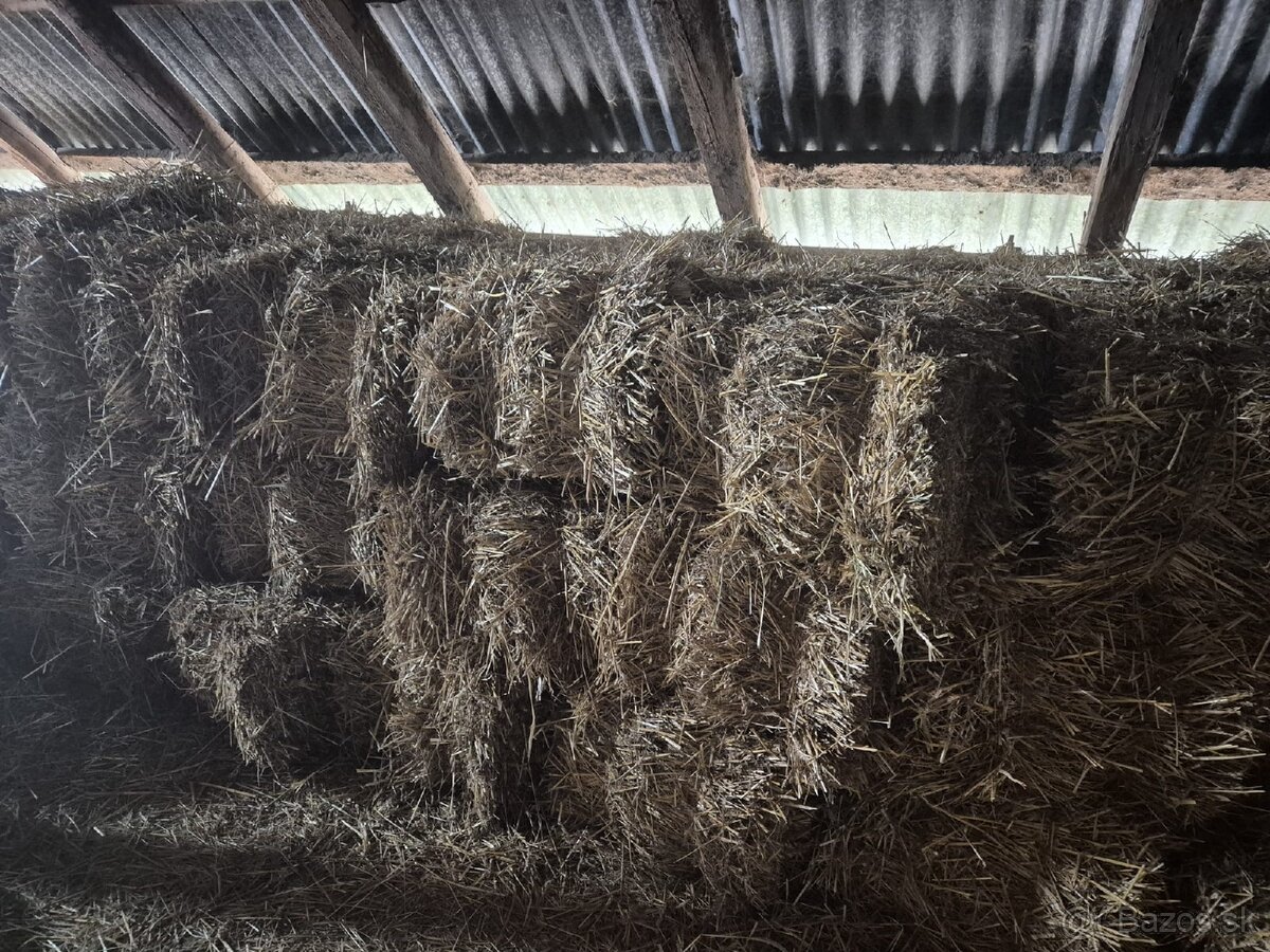 Predám slamu malé balíky - 2