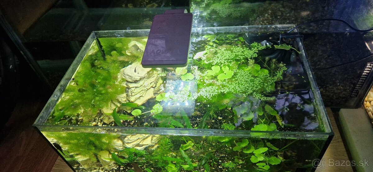 Akvárium 45l - 2