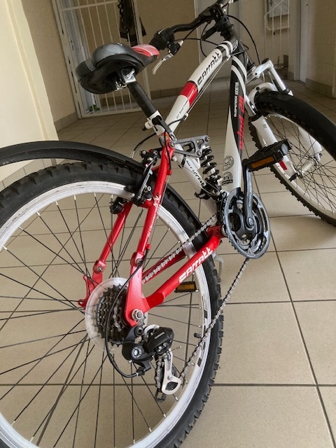 Detský bicykel Carratt - 2