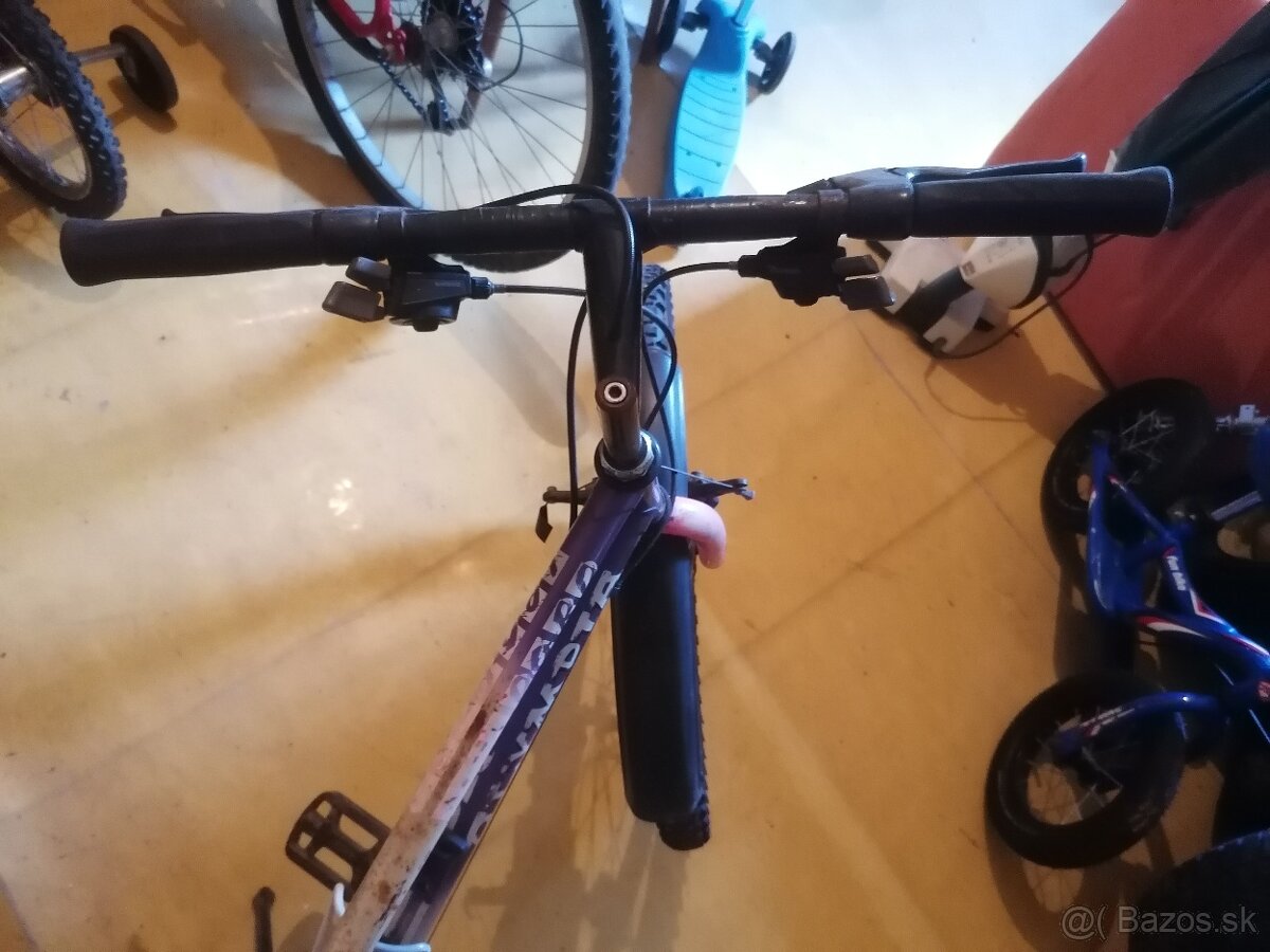 Dámsky bicykel - 2