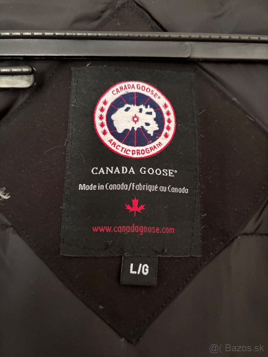 Canada Goose - 2