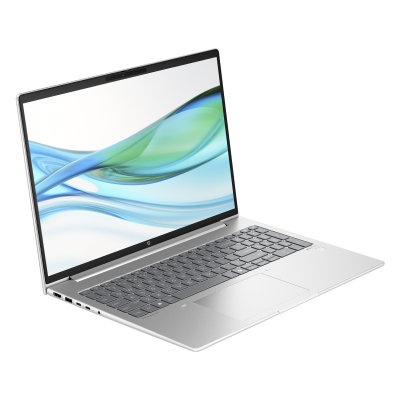 HP ProBook 465 G11 16 inch - 2
