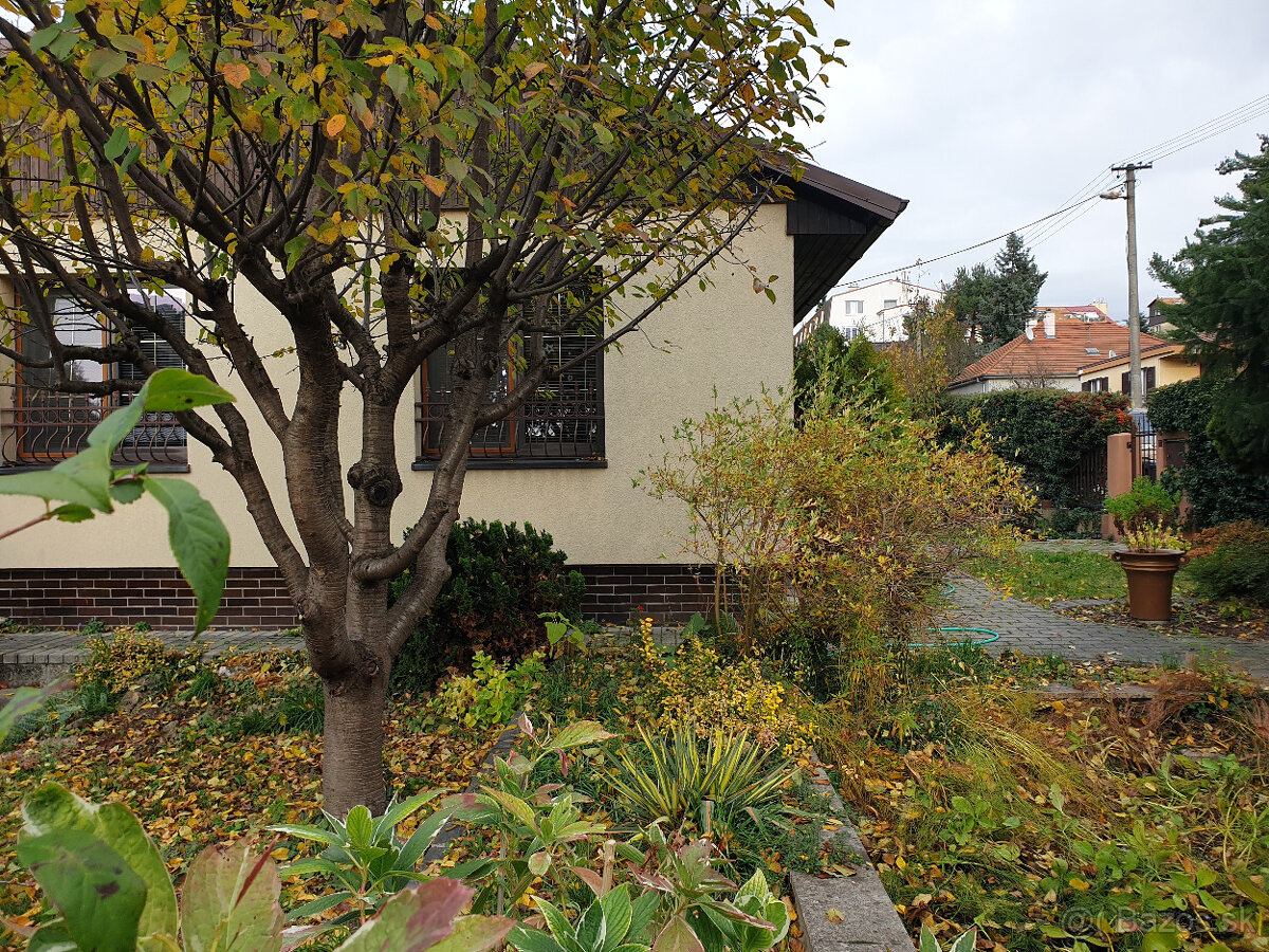 Prenájom pekný RD, Horský park, terasa, záhrada, krb - 2