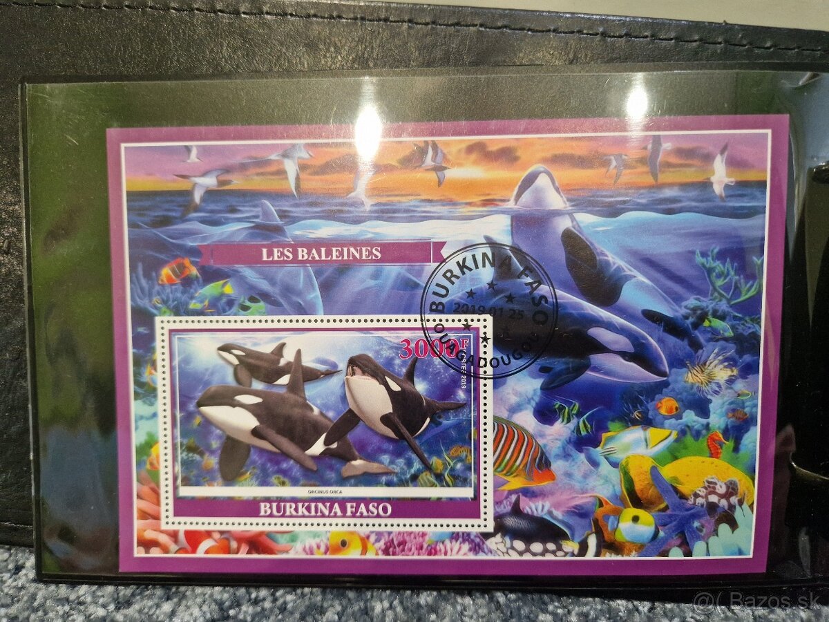 Zberatelsky Album s Arsikmi - 2