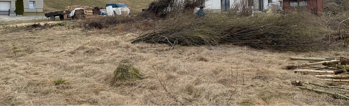 Darujem-drevo ,vrbiny - 2