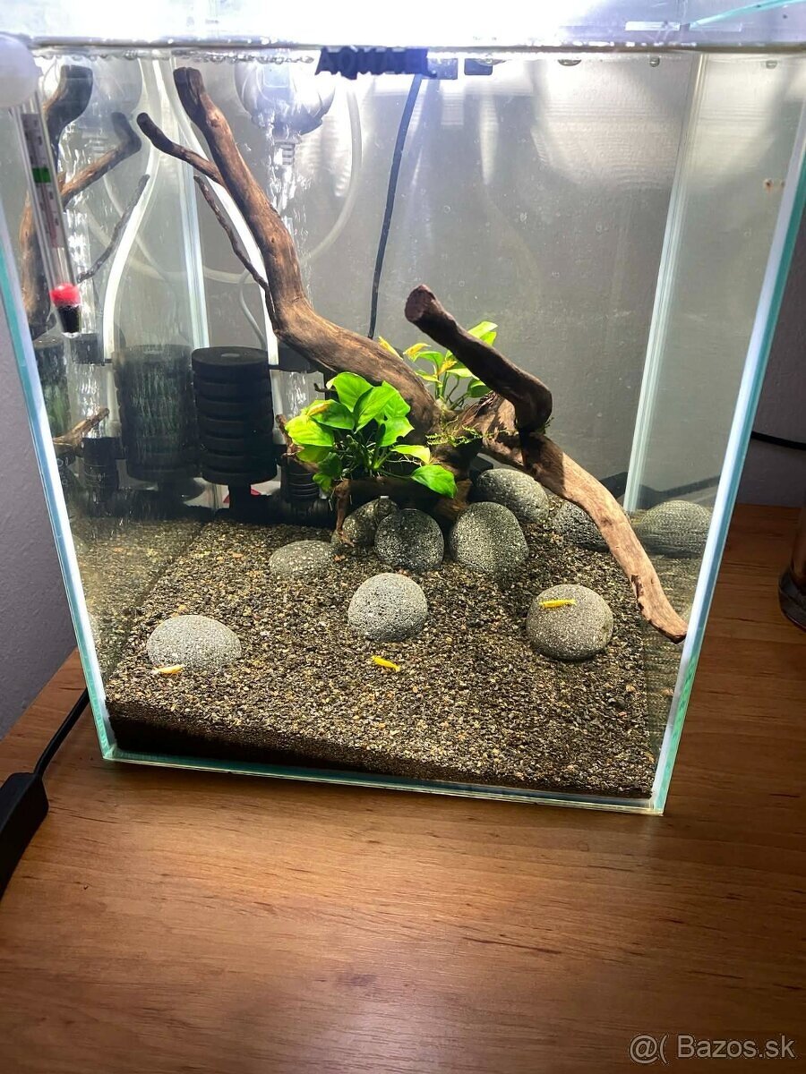 Aquael 30L Shrimp set - 2