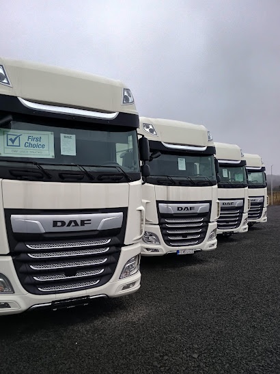 DAF XF 480 - 2