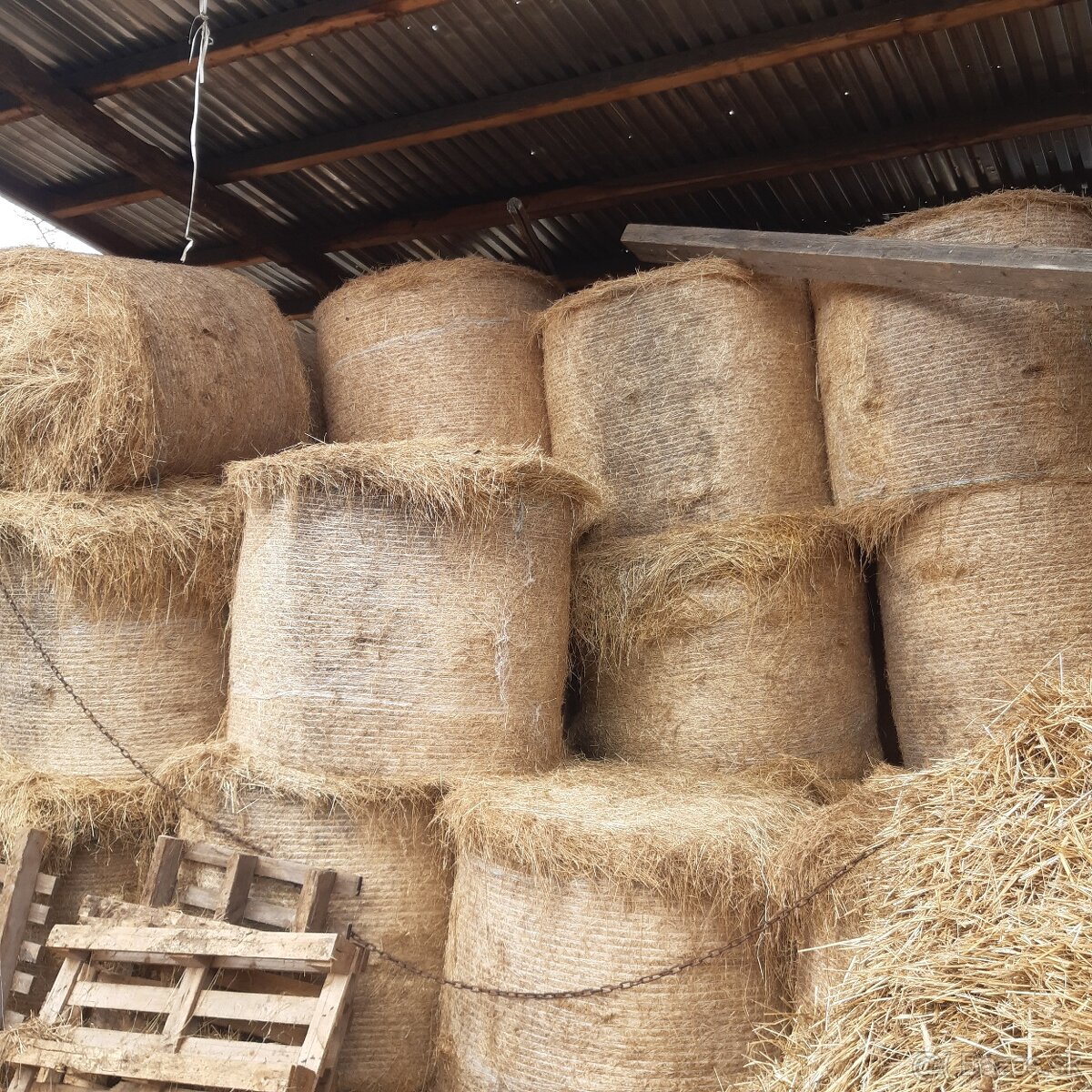 Predám seno - 2