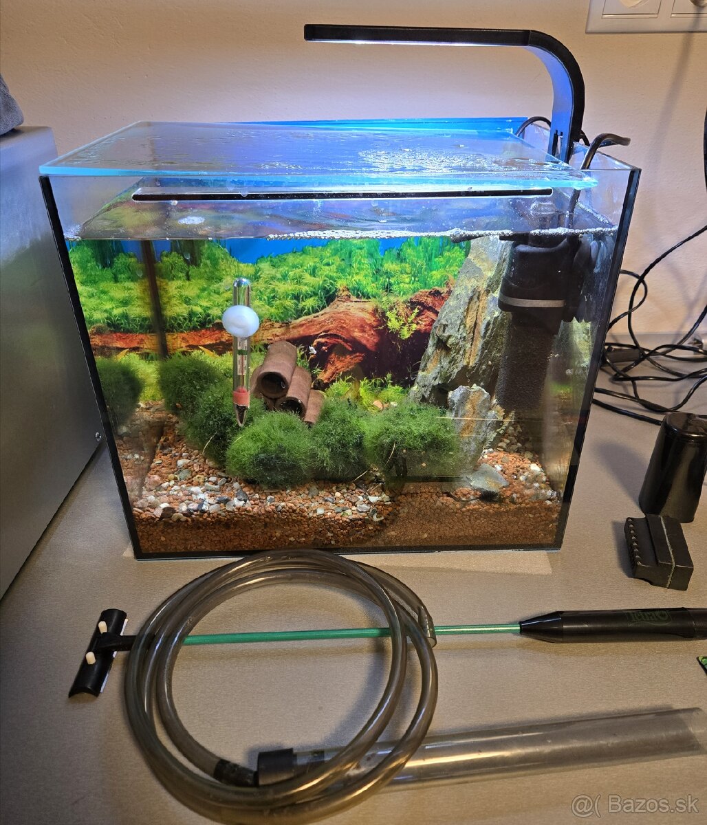 akvárium, krevetkárium 25l, zariadené - 2