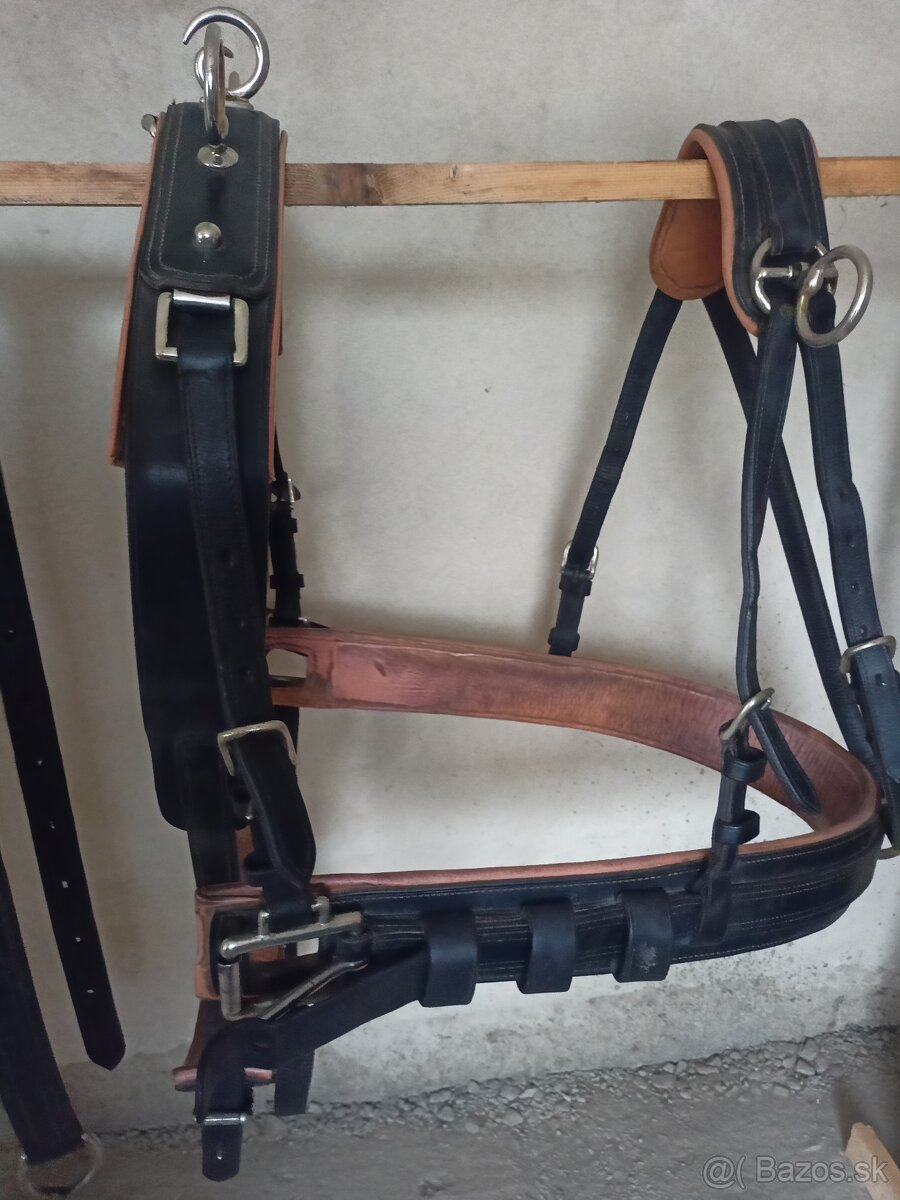 Postroj na veľkého koňa - 2