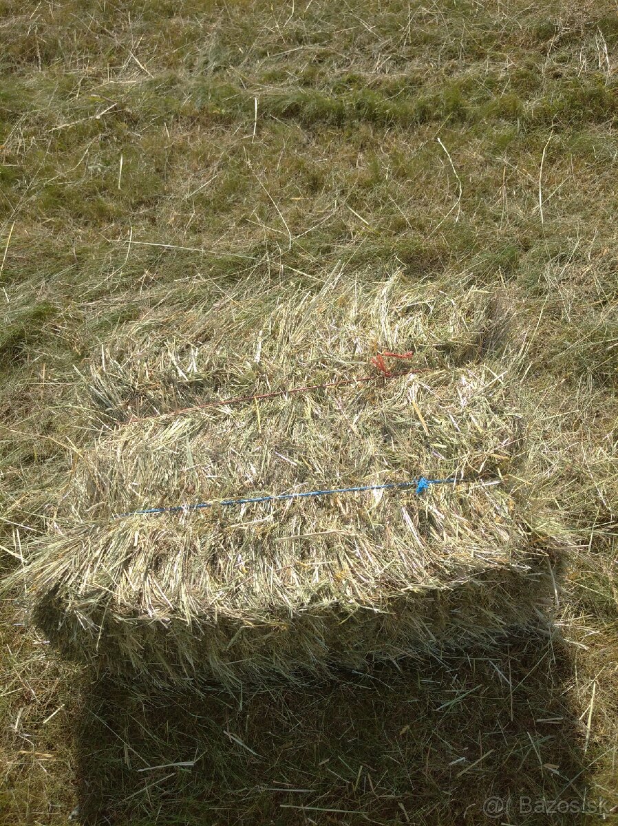 Seno malé balíky - 2