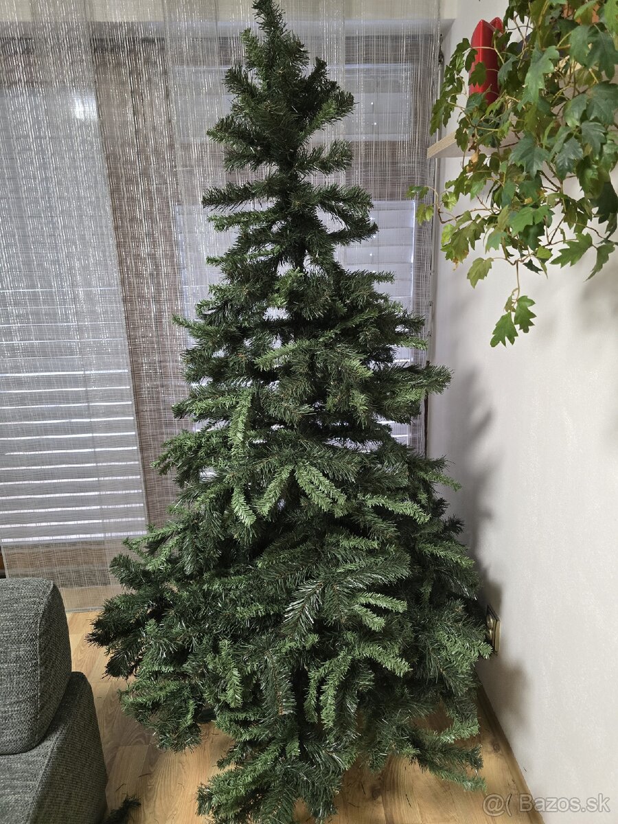 Vianočný stromček za odvoz - 2