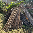 Darujem drevo - 2