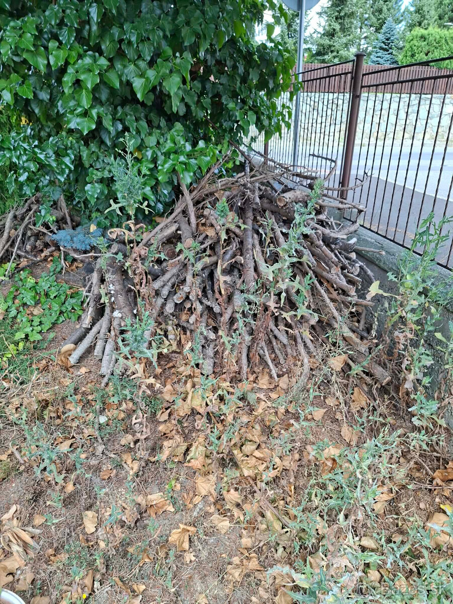 drevo na spálenie - 2