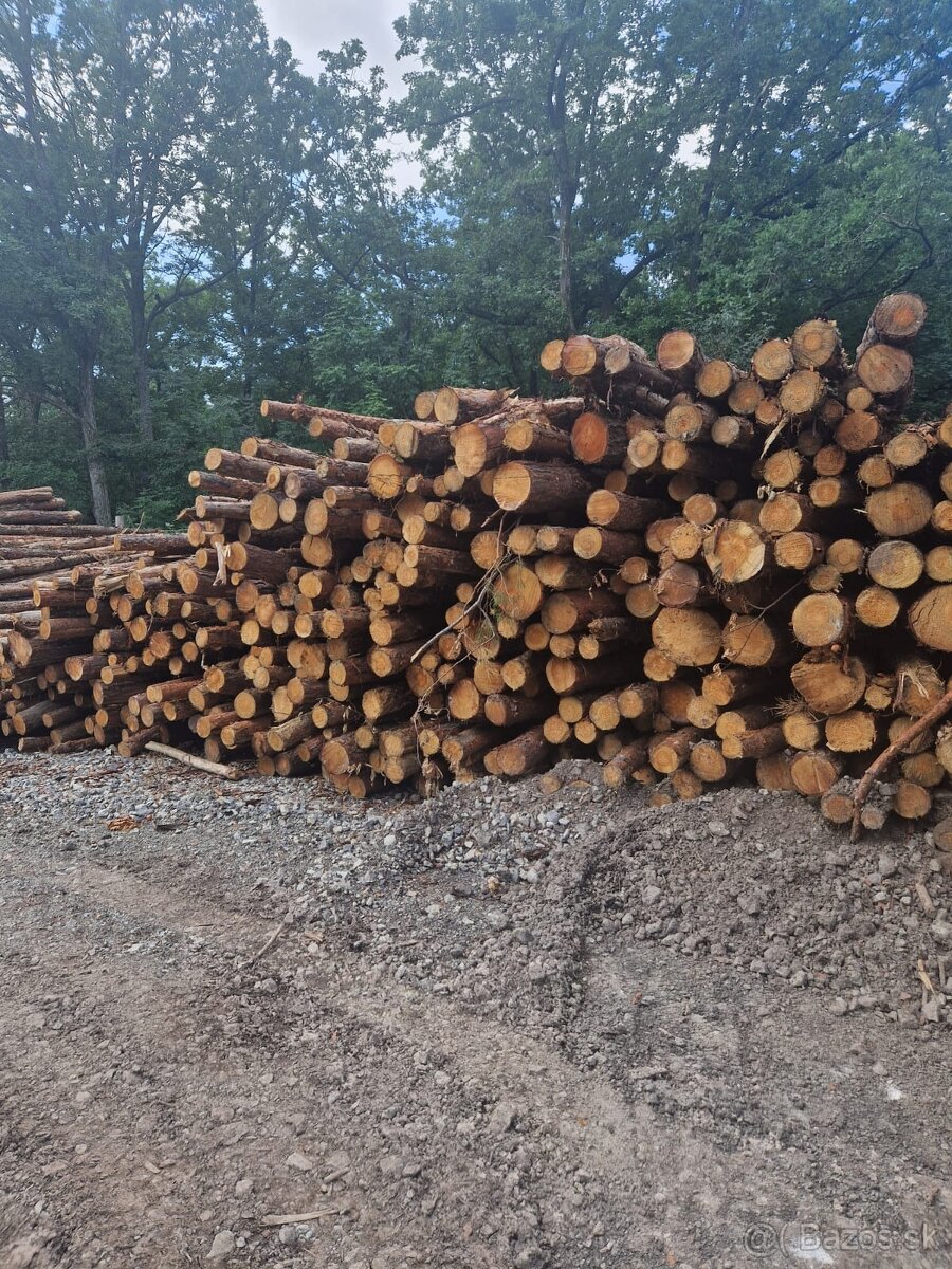 Dubové drevo_Vykurovanie_Predaj_Doprava_19112025 - 2