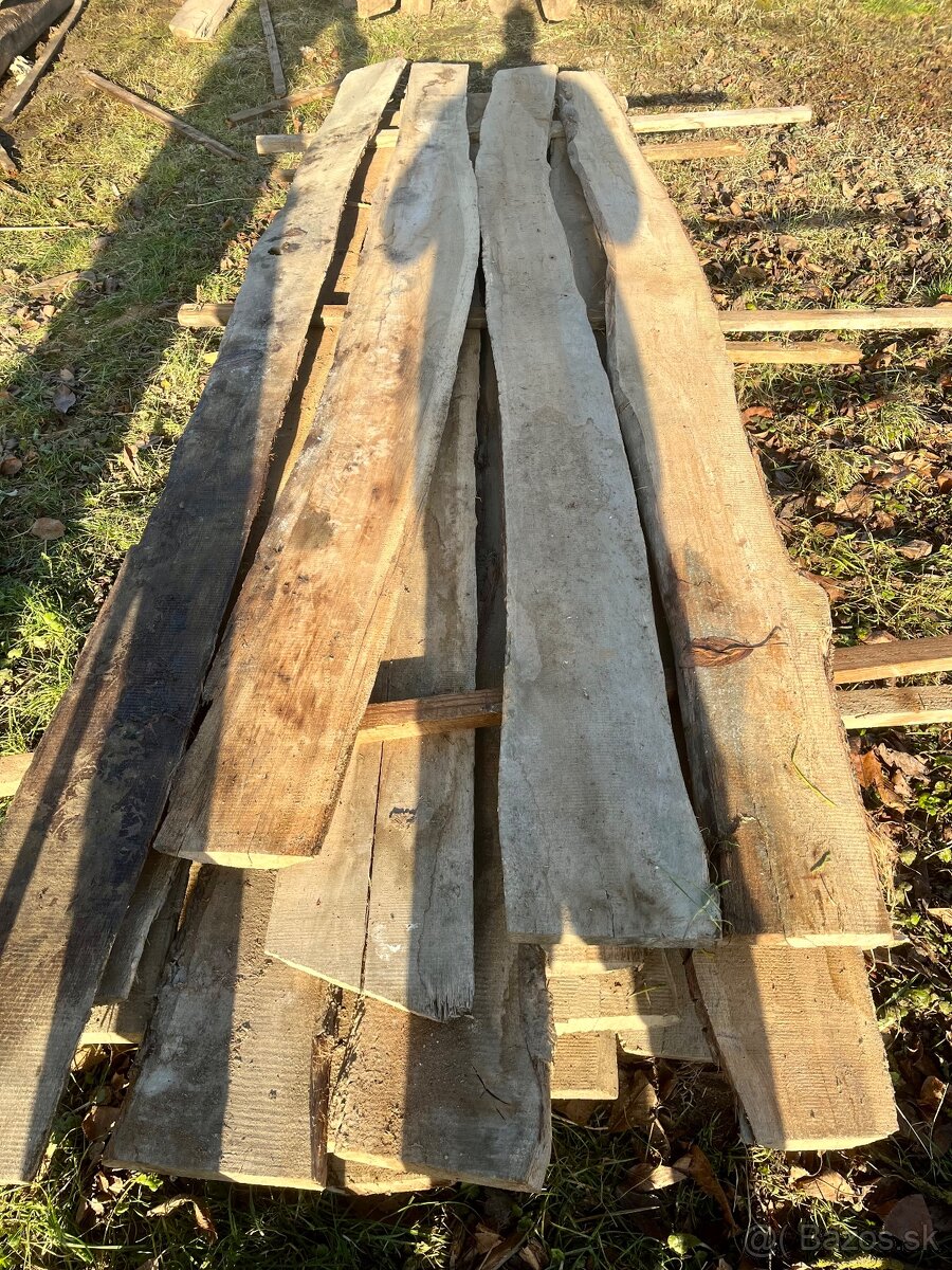 Dubové dosky neomietané - 2