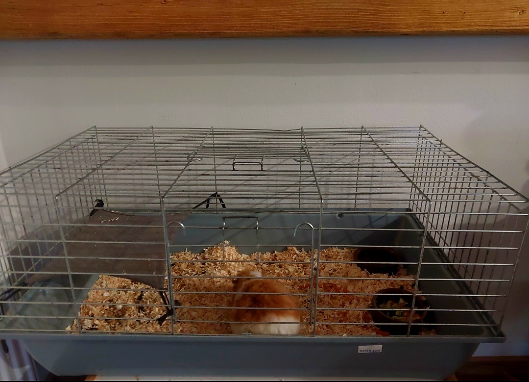 Klietka 80-50 a prepravka - 2