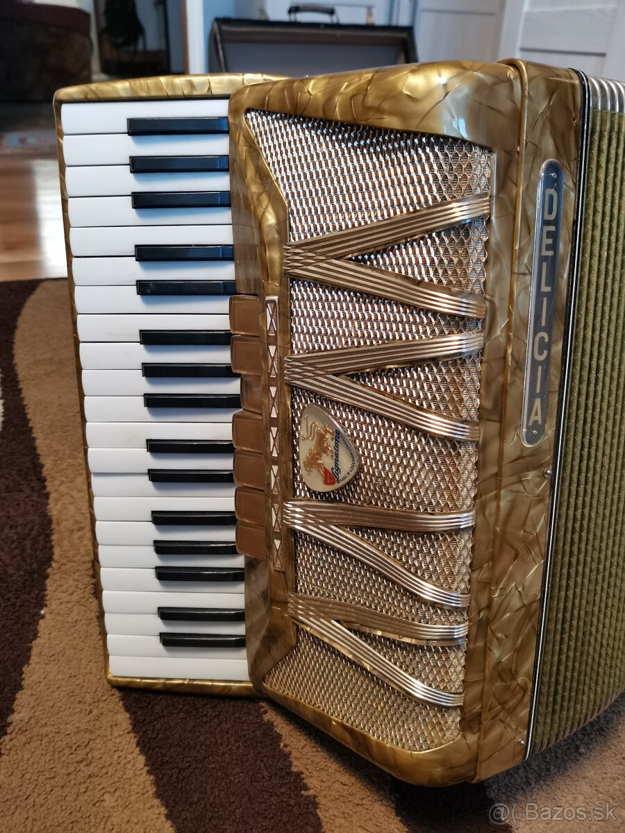 Akordeon Delicia - 2
