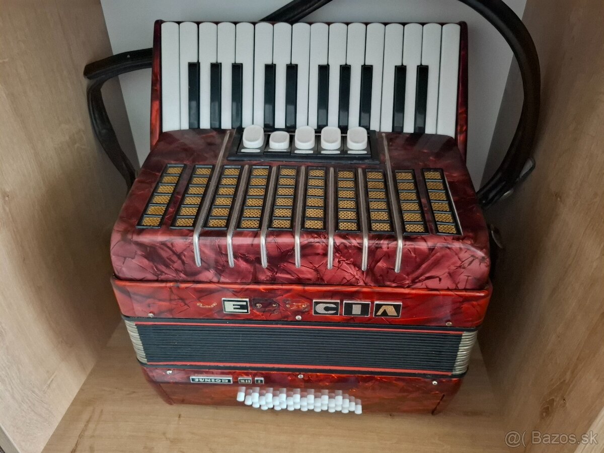 Akordeon DELICIA JUNIOR XII,32 basovy - 2