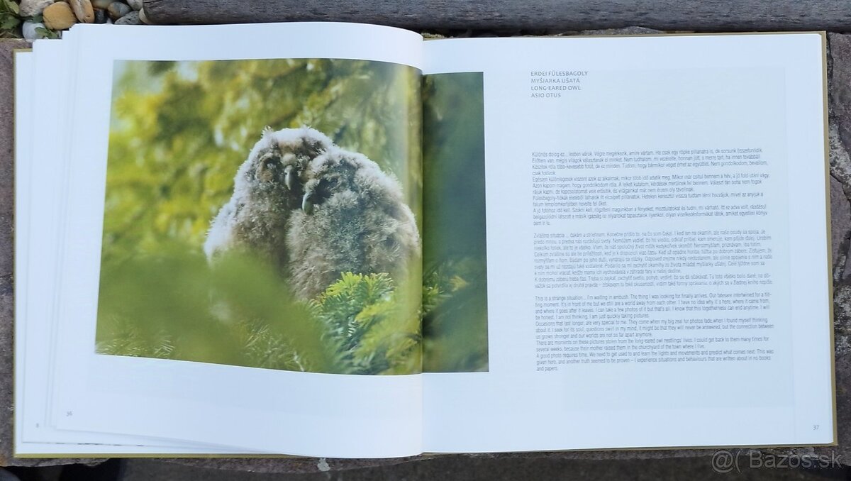 NOVÁ KNIHA ZLATÁ ZÁHRADA – PÉTER FODOR - 2