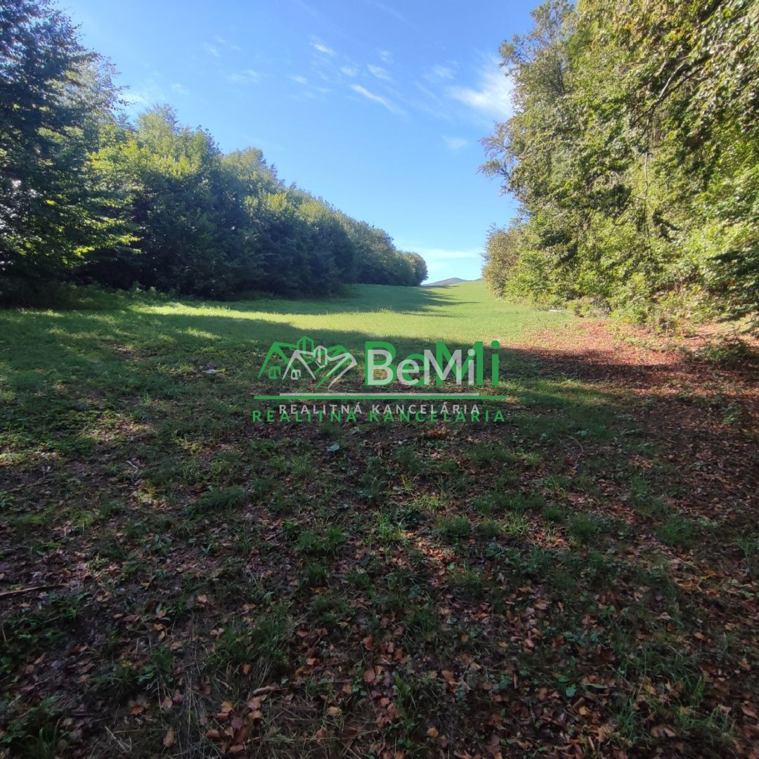 Rekreačný pozemok v Tajove na predaj ID: 015-14-STKa - 2
