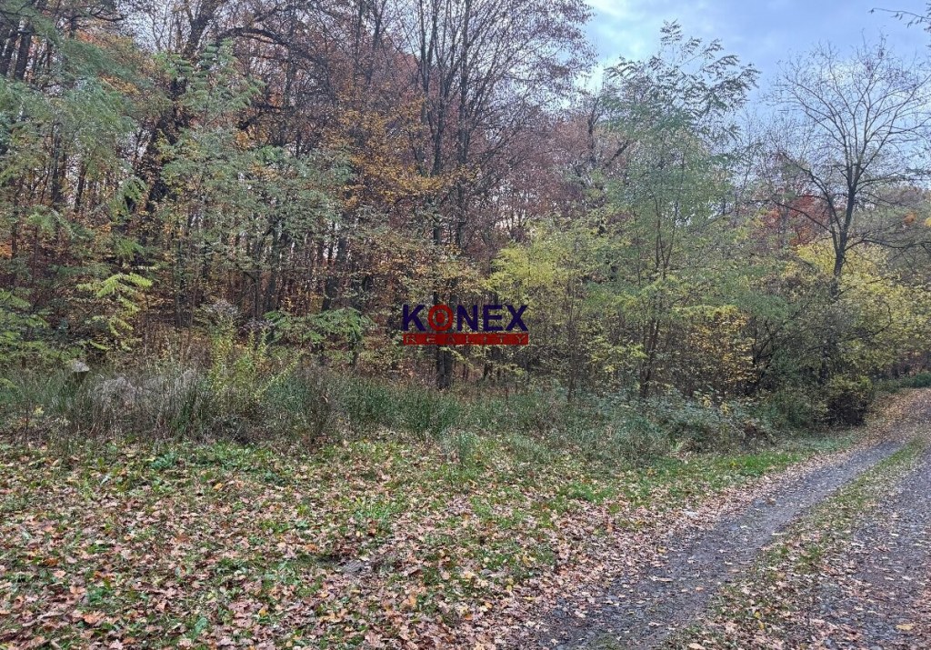 Rekreačný pozemok na výstavbu chaty blízko Vranova nad Topľo - 2