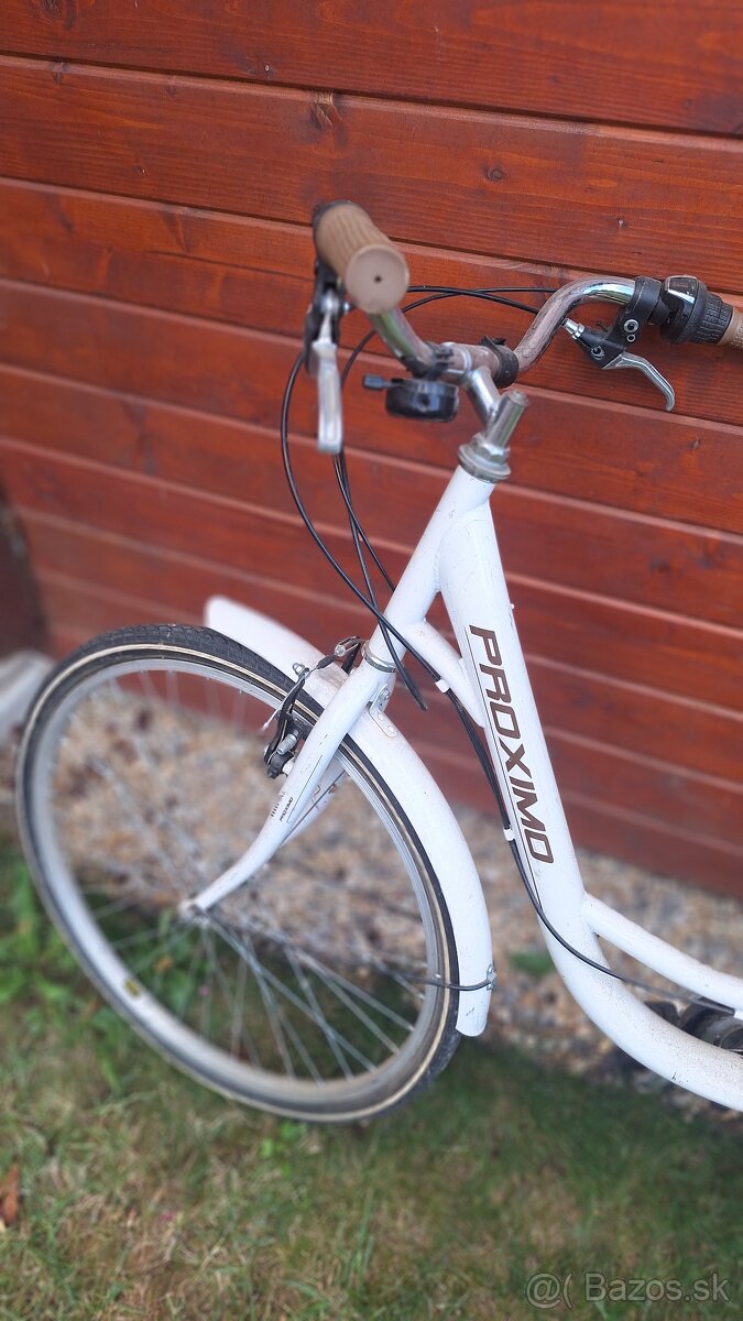 Mestsky bicykel - 2