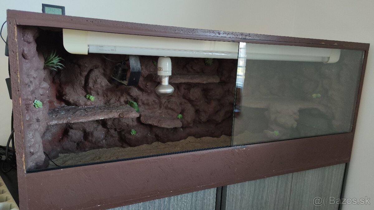 terarium - 2
