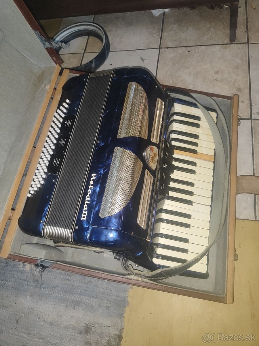 Acordeon Harmonika - 2