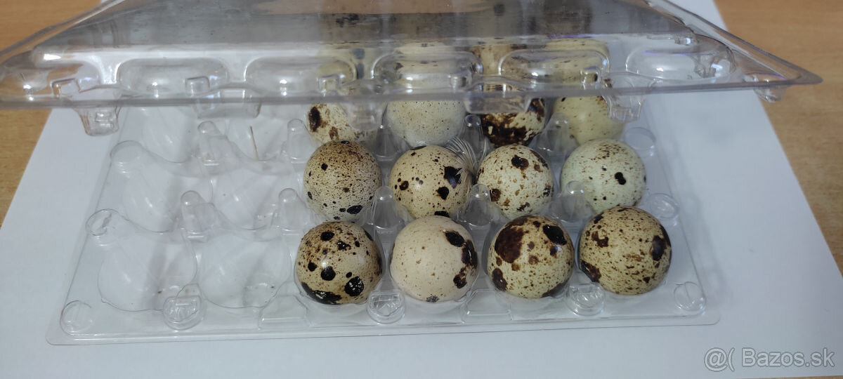 Obaly na prepeličie vajíčka - 2