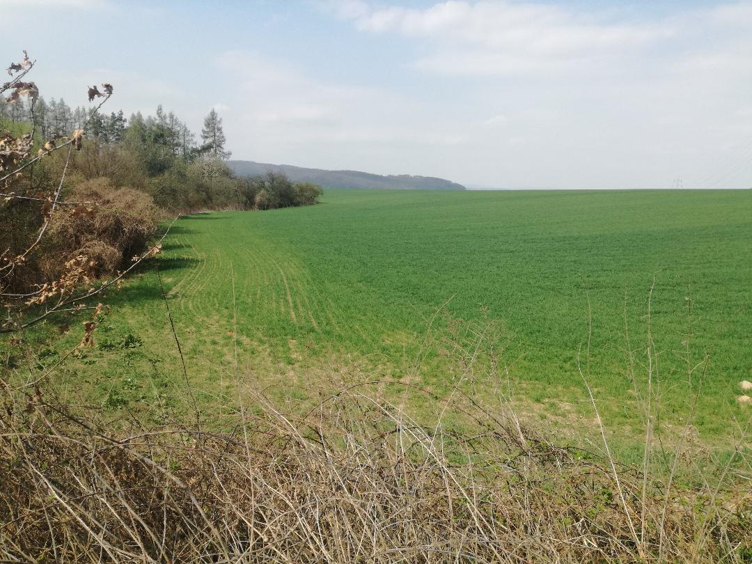 Pozemok - predaj - 2
