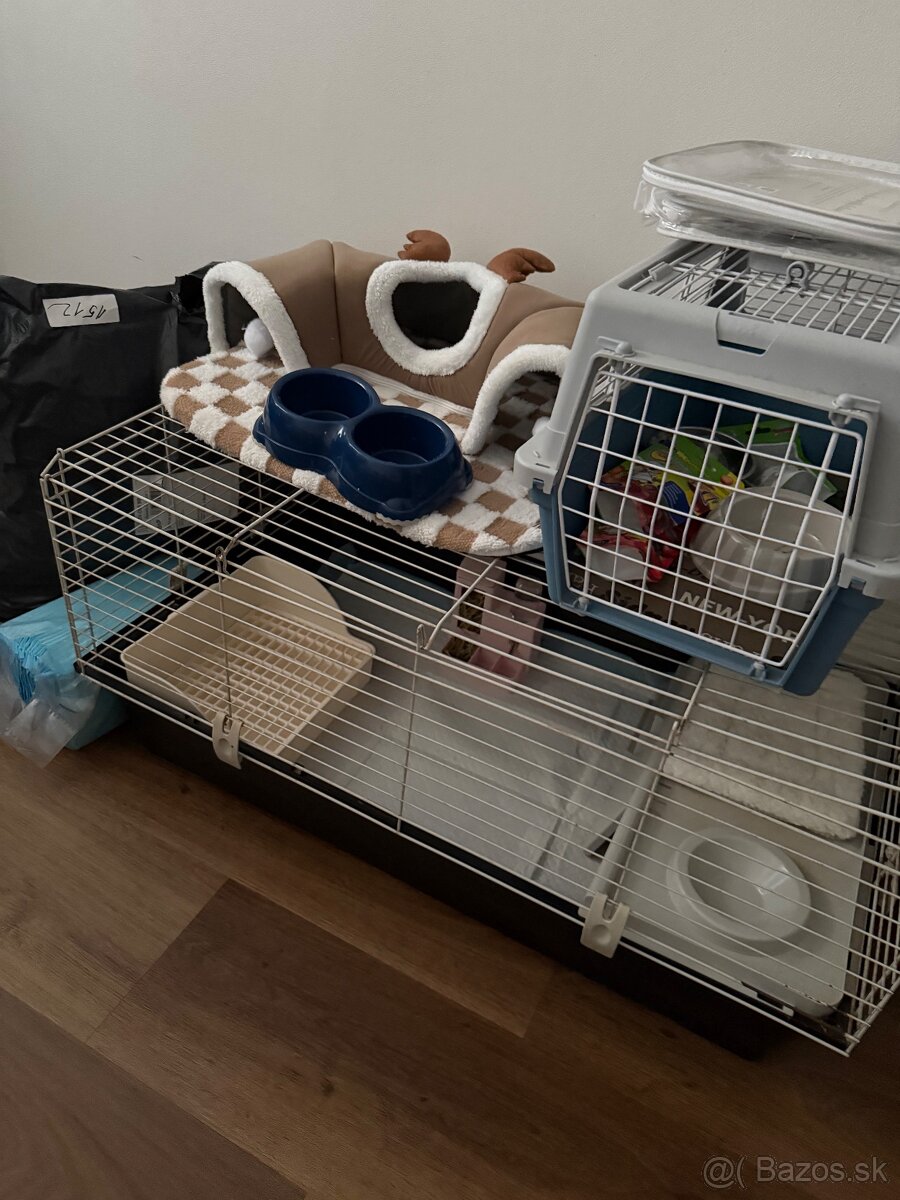 Všetko pre zajaca - 2