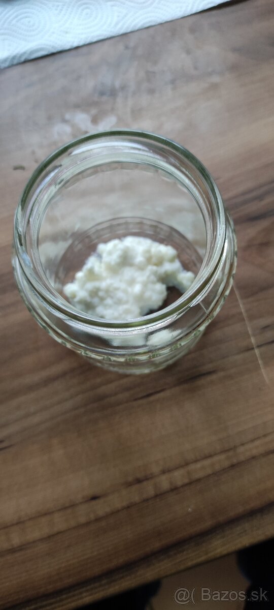 Kefírové zrná (tibetská huba) - 2