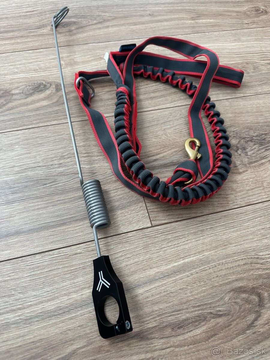 Bikejöring, Scooter - 2