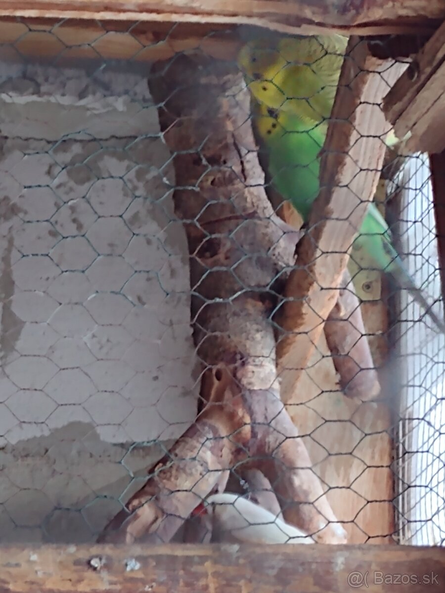 Predám - 2
