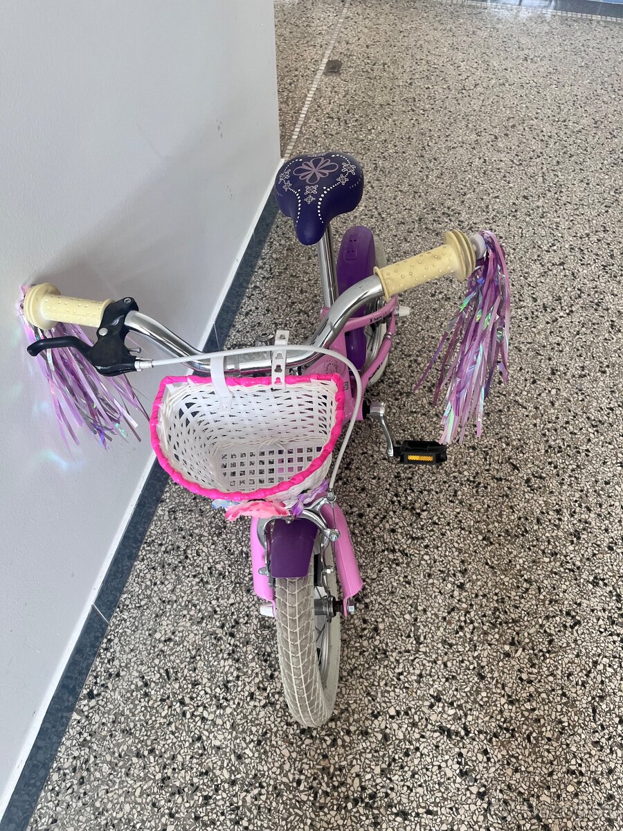 Harry Lolly 12” - 2