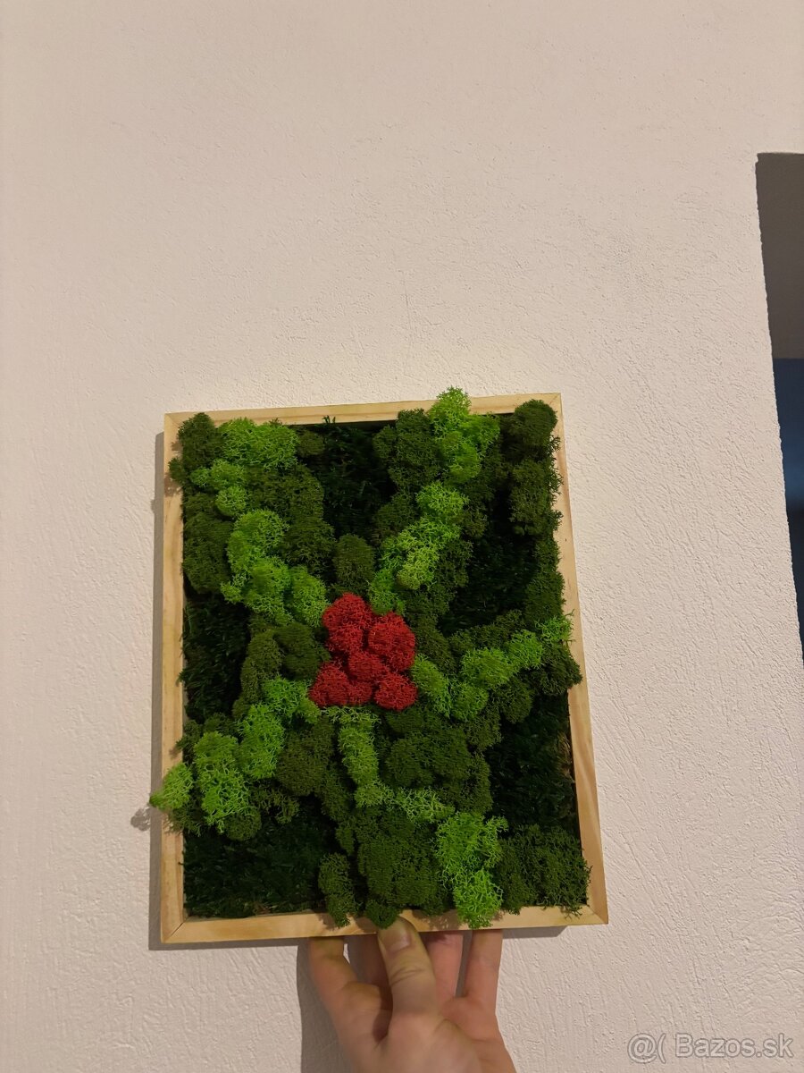 Machovy obraz 30x24 - 2