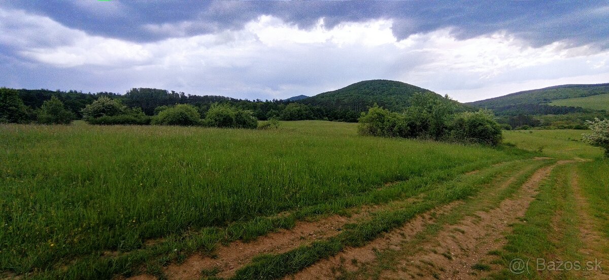Pozemok na predaj - 2
